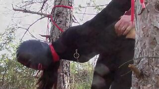 Preview - Half an hour compilation of a hot milf fucked doggy style with repeated orgasms