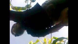 chinese from san sebastian zinacatepec