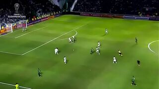 POODLE FUCKS 30 BRAZILIANS