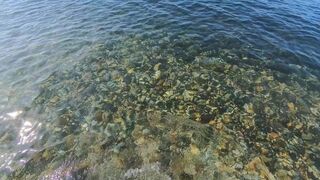 sexy beautiful MILF con bañador sexy me da una pajita en la playa