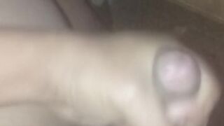 El regreso de la bestiapolla