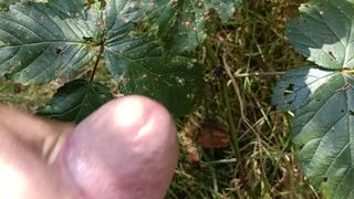 Giving my stepson Aiden a blowjob in public and he fucked me in my ass with cumshot, POV in close up
