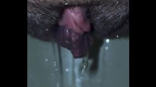 piss close 20